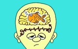 [ẢNH] Lật tẩy 12 quan niệm sai lầm nhưng ai cũng tin là đúng