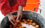 [ẢNH] Những điều kỳ lạ chỉ có thể xảy ra ở Trung Quốc