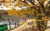 [ẢNH] Chiêm ngưỡng 