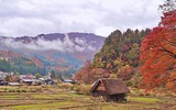[ẢNH] Chiêm ngưỡng 