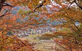 [ẢNH] Chiêm ngưỡng 