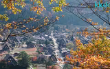[ẢNH] Chiêm ngưỡng 