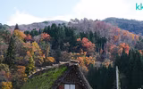[ẢNH] Chiêm ngưỡng 
