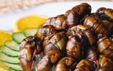 [ẢNH] Top 10 món ăn Nhật Bản khó nuốt nhất với du khách