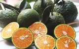 [ẢNH] Những lợi ích bất ngờ khi uống nước cam mỗi ngày