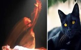 [ẢNH] Giải mã 4 hiện tượng nghịch lý của cơ thể con người