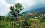 [ẢNH] Chiêm ngưỡng vẻ đẹp của 4 Vườn Di sản ASEAN mới tại Việt Nam