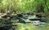 [ẢNH] Chiêm ngưỡng vẻ đẹp của 4 Vườn Di sản ASEAN mới tại Việt Nam