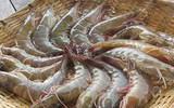 [ẢNH] Những loại thực phẩm là kẻ thù gây hại cho gan