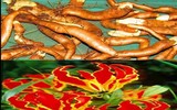 [ẢNH] Điểm mặt 10 