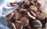 [ẢNH] Điểm mặt 10 