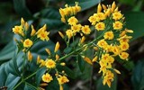 [ẢNH] Điểm mặt 10 