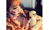 [ẢNH] Dàn sao và gia đình tưng bừng hóa trang độc đáo dịp Halloween