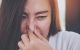 [ẢNH] Top những công việc kỳ lạ nhưng kiếm 