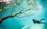 [ẢNH] Những địa điểm du lịch kỳ lạ nhất trên thế giới