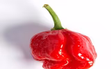 [ẢNH] Top 10 loại ớt siêu cay không phải ai cũng dám thử