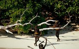 [ẢNH] Khám phá những vùng đất ‘tử thần’ bí ẩn nhất thế giới