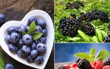 [ẢNH] Lợi ích thần kì của những thực phẩm màu tím mà bạn chưa biết