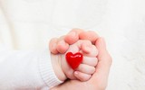 [ẢNH] Lợi ích thần kì của những thực phẩm màu tím mà bạn chưa biết