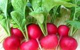 [ẢNH] Những kiểu ăn rau tưởng ngon bổ nhưng lại độc hại vô cùng