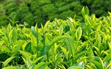 [ẢNH] Bí quyết 