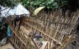 [ẢNH] Những tục lệ mai táng kỳ lạ nhất trên thế giới