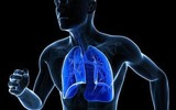 [ẢNH] 12 lợi ích bất ngờ của việc chạy bộ mỗi ngày