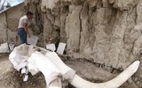 Phát hiện gây sốc về hố bẫy voi ma mút đầu tiên trong lịch sử loài người