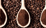 [ẢNH] Những cách phòng chống muỗi tại nhà đơn giản và hiệu quả nhất
