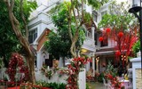 [ẢNH] Những bức ảnh lễ ăn hỏi đẹp như mơ của người nổi tiếng