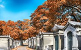 [ẢNH] Cảnh ma mị thu hút khách du lịch của những nghĩa trang cổ trên thế giới