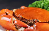 [ẢNH] Những loại thực phẩm tuyệt đối không được kết hợp với mật ong