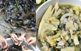 [ẢNH] Những đặc sản lạ ở vùng Tây Bắc