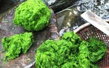 [ẢNH] Những đặc sản lạ ở vùng Tây Bắc