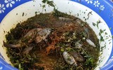 [ẢNH] Những đặc sản lạ ở vùng Tây Bắc
