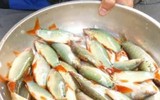 [ẢNH] Những đặc sản lạ ở vùng Tây Bắc