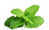 [ẢNH] 12 ‘siêu’ thực phẩm giúp nuôi dưỡng hệ tiêu hóa khỏe mạnh