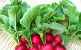 [ẢNH] 12 ‘siêu’ thực phẩm giúp nuôi dưỡng hệ tiêu hóa khỏe mạnh