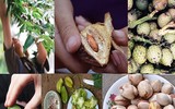 [ẢNH] Gợi cả trời thương nhớ với những hình ảnh mang ký ức tuổi thơ