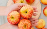 [ẢNH] 12 ‘siêu’ thực phẩm giúp nuôi dưỡng hệ tiêu hóa khỏe mạnh