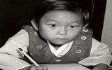 [ẢNH] Những bộ não siêu việt phá vỡ mọi giới hạn của con người