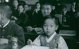 [ẢNH] Những bộ não siêu việt phá vỡ mọi giới hạn của con người