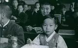 [ẢNH] Những bộ não siêu việt phá vỡ mọi giới hạn của con người