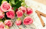 [ẢNH] Nguồn gốc và ý nghĩa của ngày nhà giáo Việt Nam 20-11