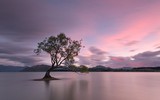 [ẢNH] Điểm danh những thứ 