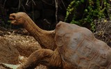 [ẢNH] Điểm danh những thứ 