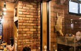 [ẢNH] Những quán cà phê thú cưng hút khách trên thế giới