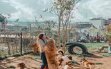 [ẢNH] Những quán cà phê thú cưng hút khách trên thế giới