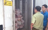 [ẢNH] Thực phẩm bẩn - Con đường ngắn từ dạ dày đến nghĩa địa