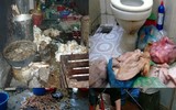 [ẢNH] Thực phẩm bẩn - Con đường ngắn từ dạ dày đến nghĩa địa